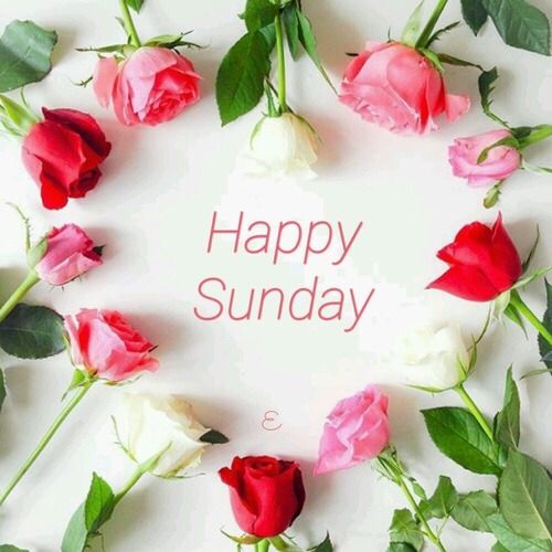 happy sunday